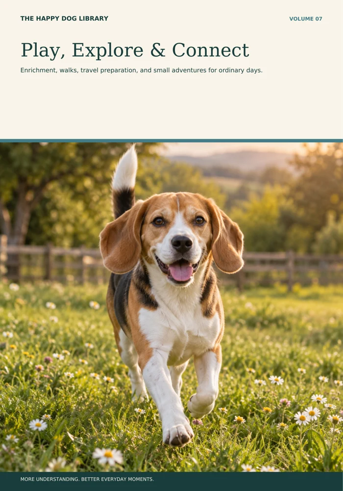 Play, Explore & Connect cover